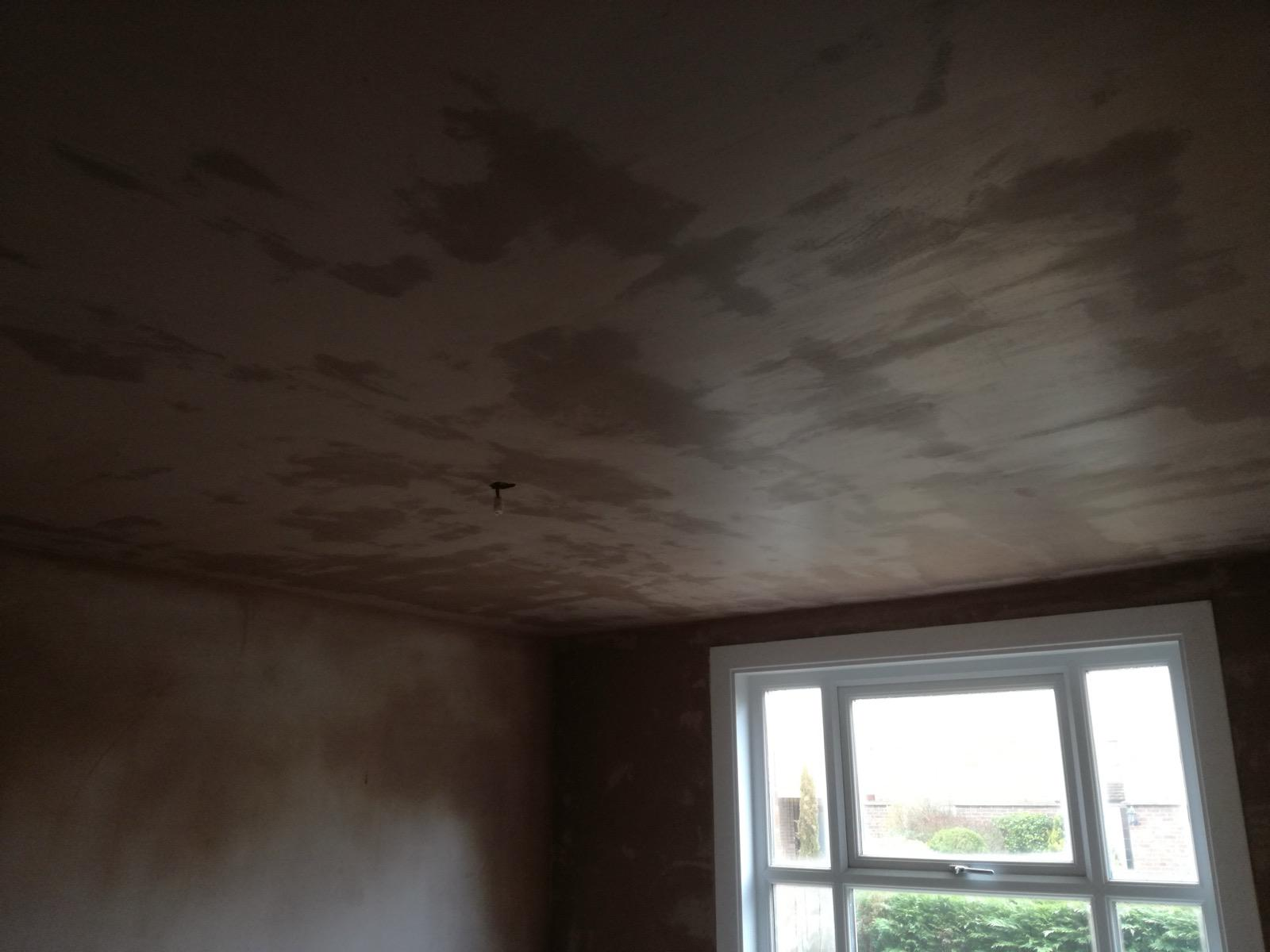 Recently plastered ceiling and walls beside a large white-framed window